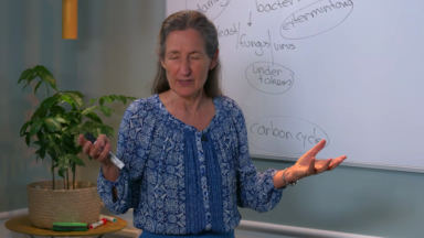 Die Ursache von Krankheit - Teil 2