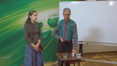 Baum- und Pflanzenreihen