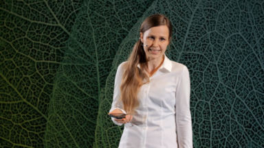 Ernährung in der Schwangerschaft