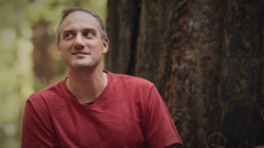 Gott unser Schöpfer